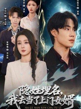 隱姓埋名，我去當(dāng)了上門女婿海報(bào)